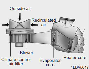 Kia Carnival: Climate control air filter. The climate control air filter installed behind the glove box filters the dust