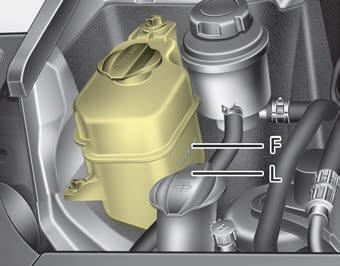 Kia Carnival: Checking the coolant level. Check the condition and connections of all cooling system hoses and heater hoses.