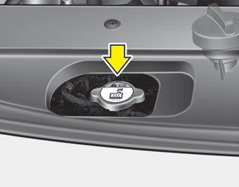 Kia Carnival: Checking the coolant level. 