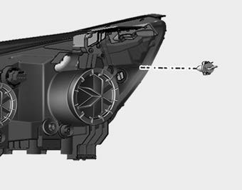 Kia Carnival: Front light bulb replacement. 1. Open the hood.