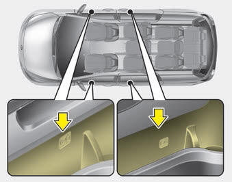 Kia Carnival: Bottle holder. Bottles may be placed in the holder.